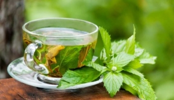 Şişmanlık ve Yeşil çay 