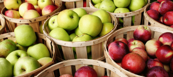 Elma, armut gibi flavonol bakımından zengin meyveler şeker hastalığı riskini düşürebiliyor